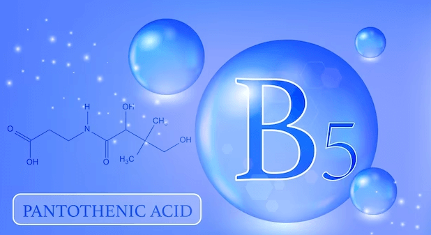 Pantothenic Acid Power: Exploring Vitamin B5